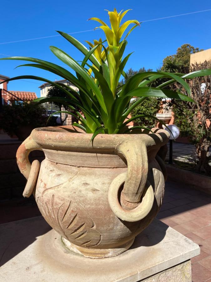 Villa Marogna Alghero Dış mekan fotoğraf